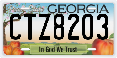 GA license plate CTZ8203