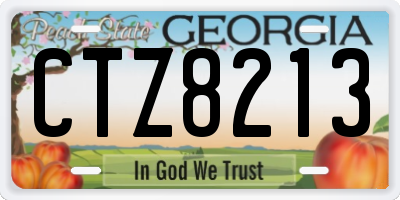 GA license plate CTZ8213