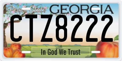 GA license plate CTZ8222