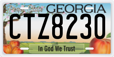 GA license plate CTZ8230