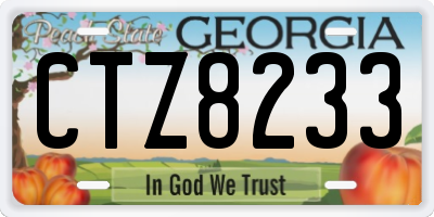 GA license plate CTZ8233