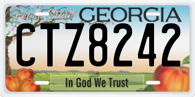 GA license plate CTZ8242