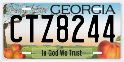 GA license plate CTZ8244