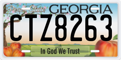 GA license plate CTZ8263