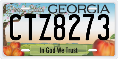 GA license plate CTZ8273