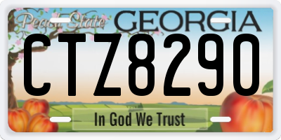 GA license plate CTZ8290