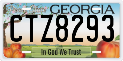 GA license plate CTZ8293