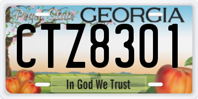GA license plate CTZ8301