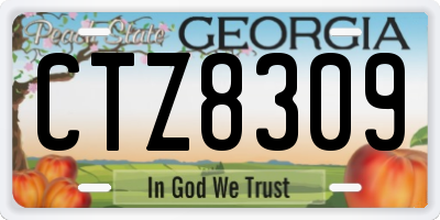 GA license plate CTZ8309
