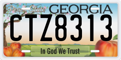 GA license plate CTZ8313