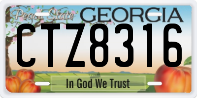 GA license plate CTZ8316