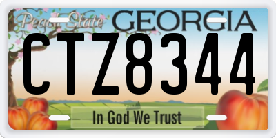 GA license plate CTZ8344