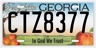 GA license plate CTZ8377