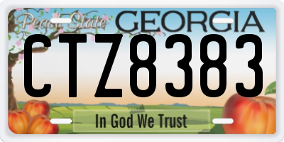 GA license plate CTZ8383