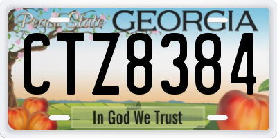 GA license plate CTZ8384