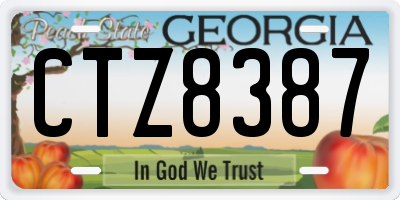 GA license plate CTZ8387