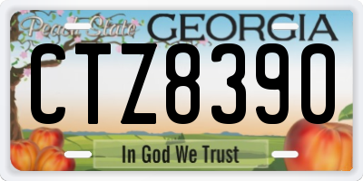 GA license plate CTZ8390