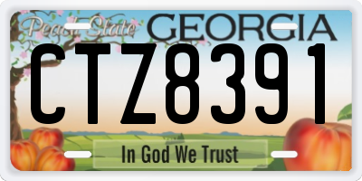 GA license plate CTZ8391