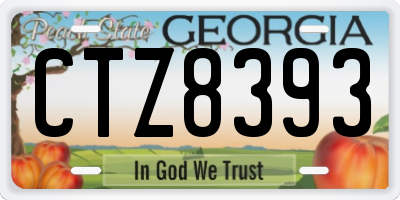 GA license plate CTZ8393