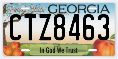 GA license plate CTZ8463