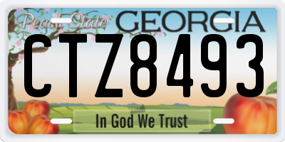 GA license plate CTZ8493