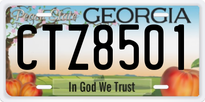 GA license plate CTZ8501