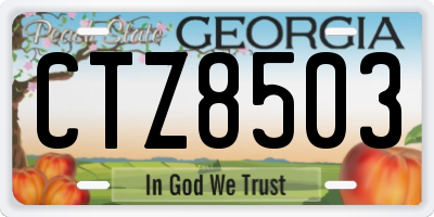 GA license plate CTZ8503