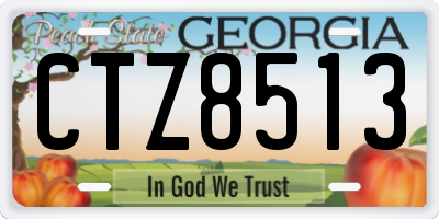GA license plate CTZ8513