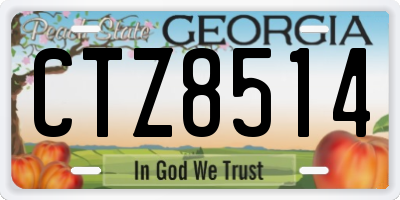GA license plate CTZ8514
