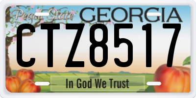 GA license plate CTZ8517