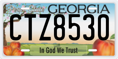 GA license plate CTZ8530