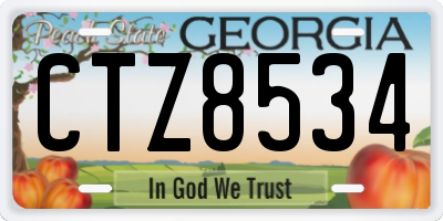 GA license plate CTZ8534