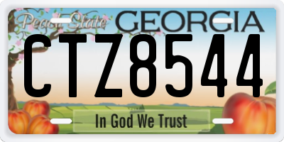 GA license plate CTZ8544