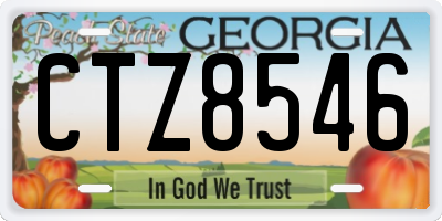 GA license plate CTZ8546