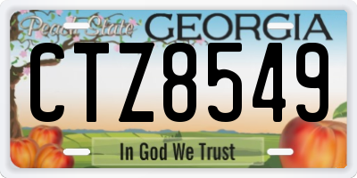 GA license plate CTZ8549