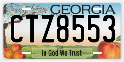 GA license plate CTZ8553