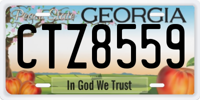 GA license plate CTZ8559