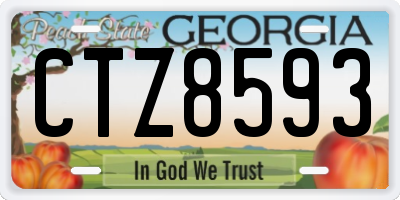 GA license plate CTZ8593