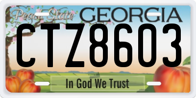 GA license plate CTZ8603