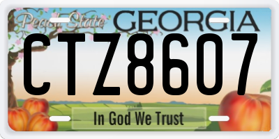 GA license plate CTZ8607