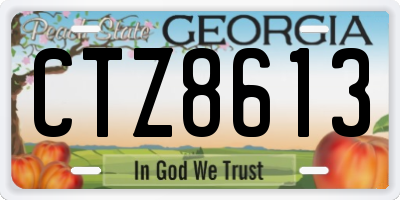 GA license plate CTZ8613