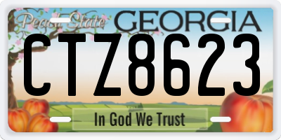 GA license plate CTZ8623
