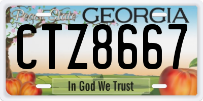 GA license plate CTZ8667