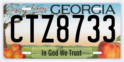 GA license plate CTZ8733
