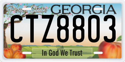 GA license plate CTZ8803