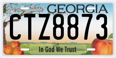 GA license plate CTZ8873