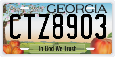 GA license plate CTZ8903