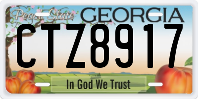 GA license plate CTZ8917