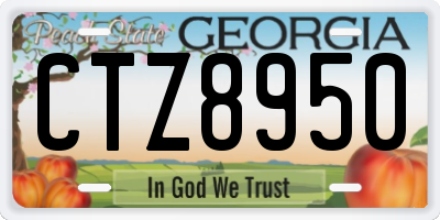 GA license plate CTZ8950
