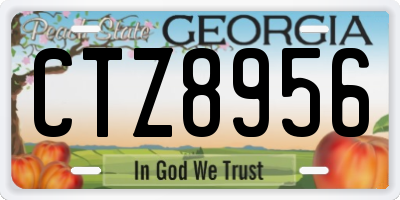 GA license plate CTZ8956